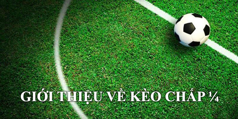 Thông Tin Về Tỷ Lệ Kèo Nhà Cái Chi Tiết A-Z Cho Người Mới Hướng dẫn xem kèo chấp 1/4
