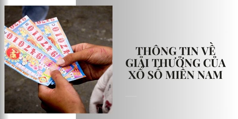 Xổ số miền Nam: Chia sẻ bí kíp chơi hiệu quả từ cao thủ Cơ cấu giải thưởng xổ số miền Nam vô cùng hấp dẫn
