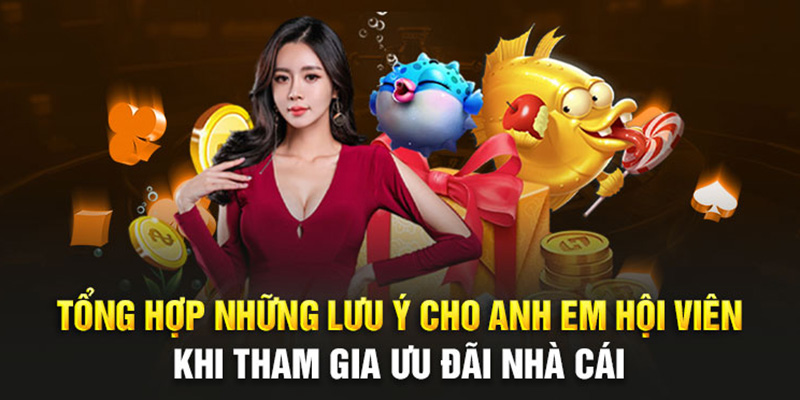 Khuyến mãi Bet88 Tổng hợp những lưu ý cho anh em hội viên khi tham gia ưu đãi nhà cái