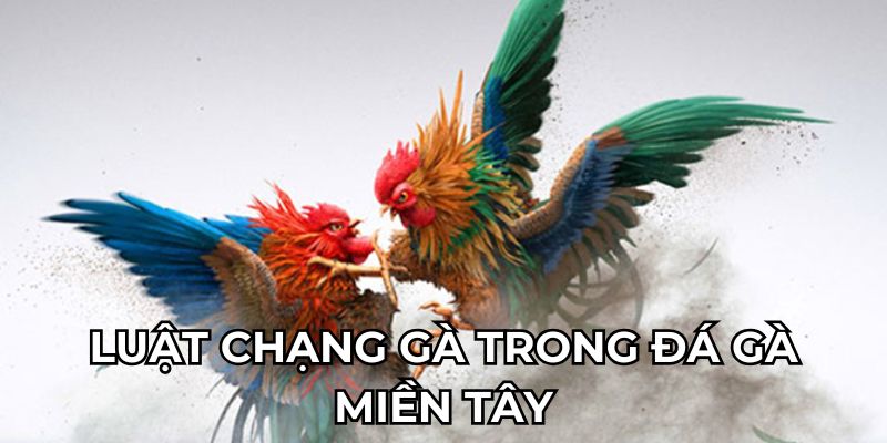 Đá Gà Miền Tây bet88 - Siêu Phẩm Đối Kháng Kiếm Tiền Thật Luật chạng gà trong đá gà miền tây